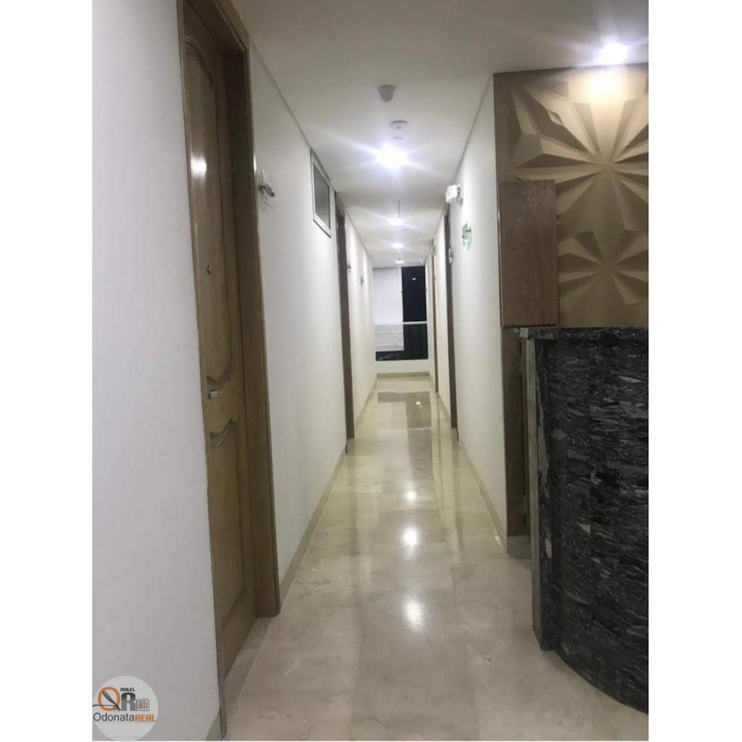 Hotel Odonata Real