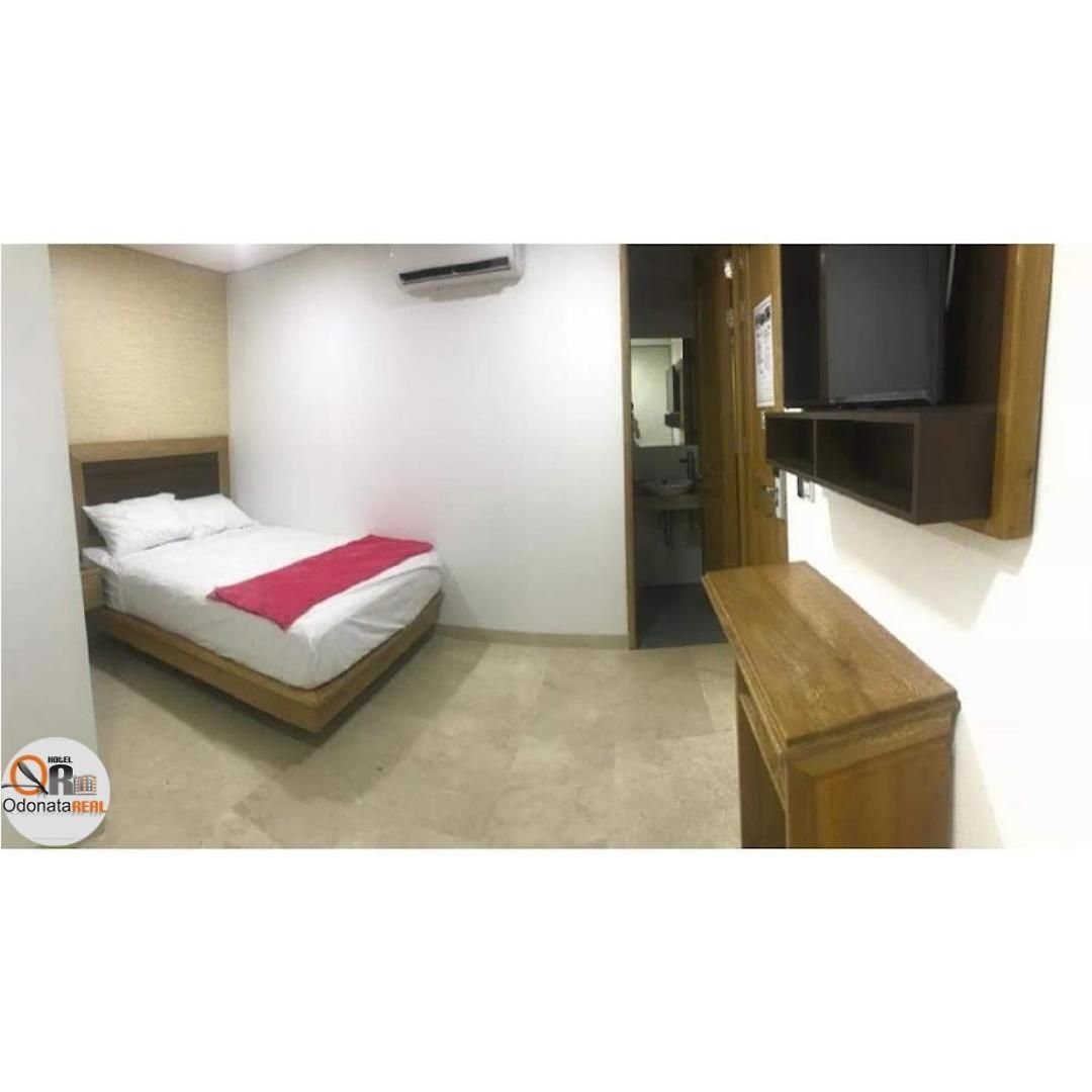 Odonata Real Hotel Cartagena