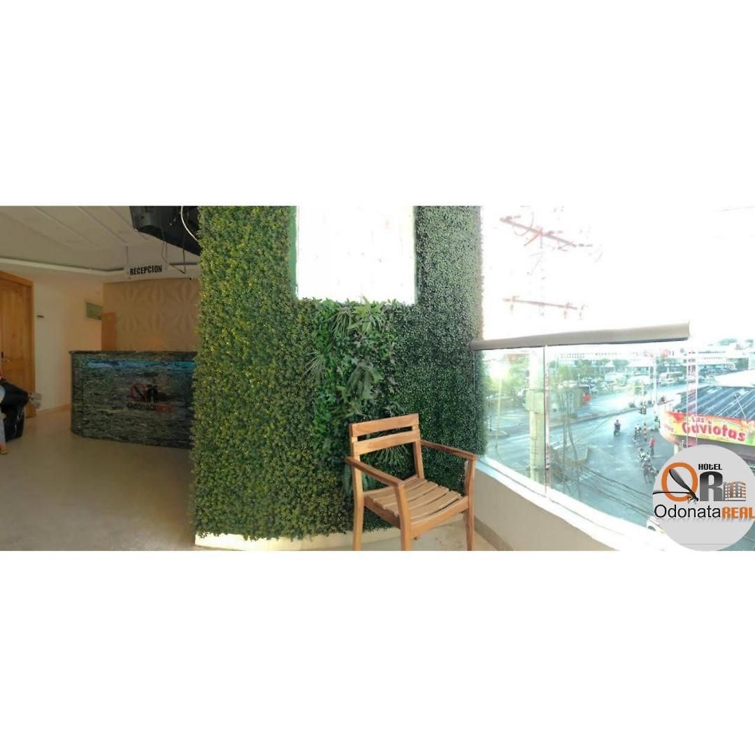 Odonata Real Hotel Cartagena