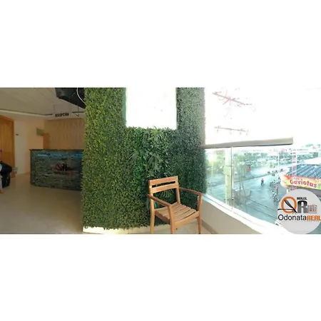Odonata Real Hotel Cartagena