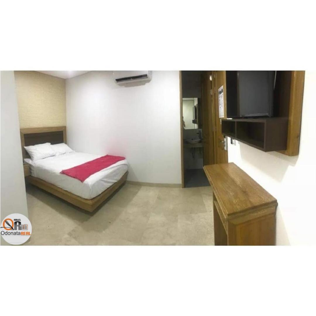 Odonata Real Hotel Cartagena