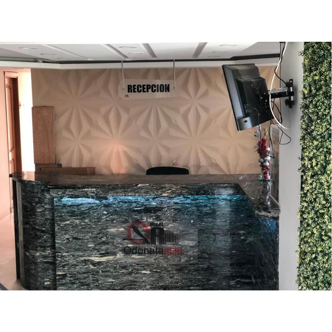 Hotel Odonata Real *