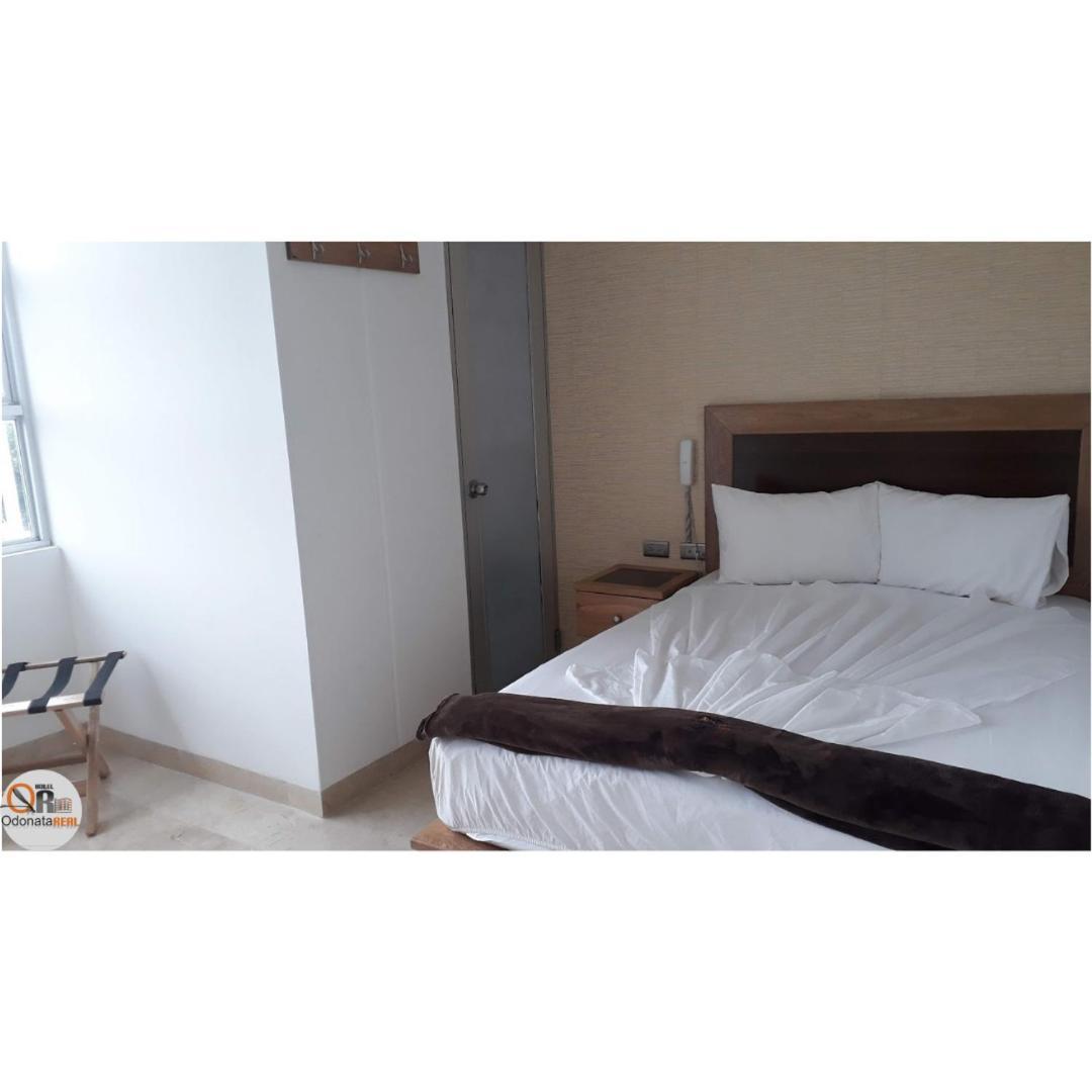 Odonata Real Hotel Cartagena