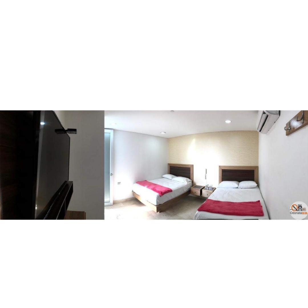 Hotel Odonata Real