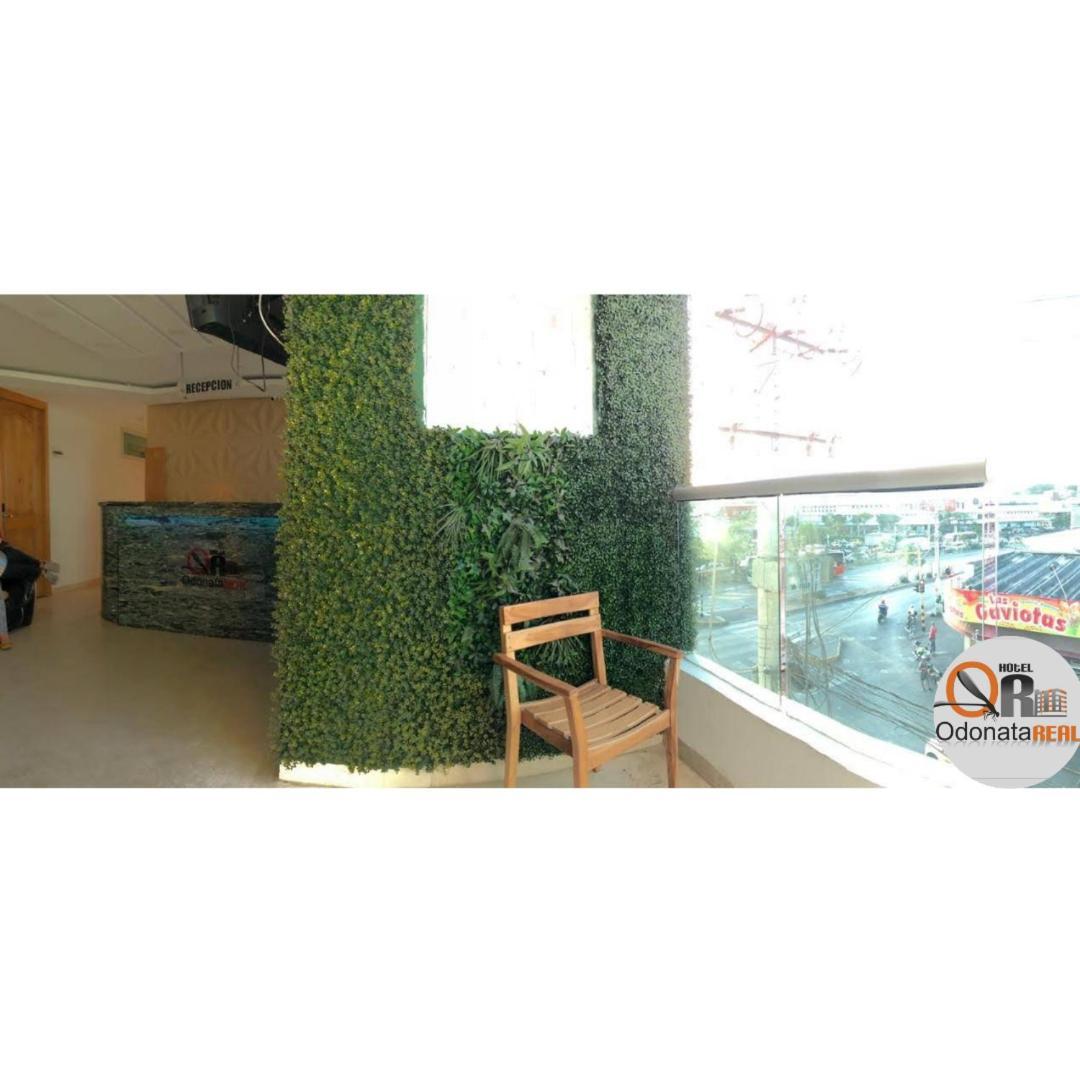 Odonata Real Hotel Cartagena