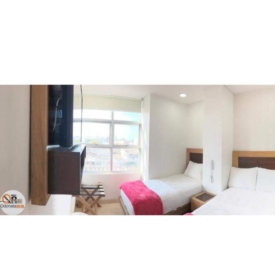 Hotel Odonata Real *